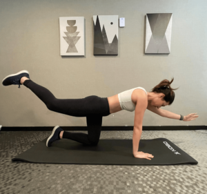 dynamic balance exercises physical therapy